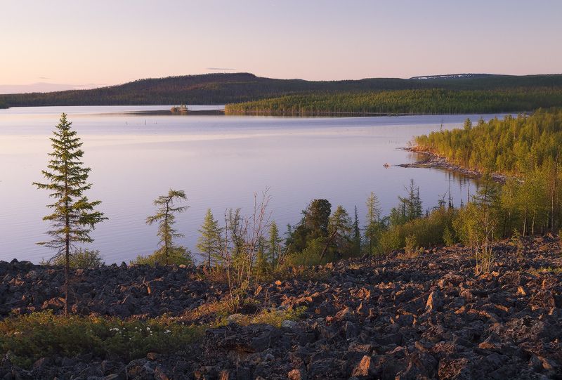 Белая ночь фото превью
