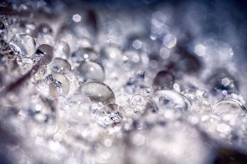 In the Kingdom of Waterdrops