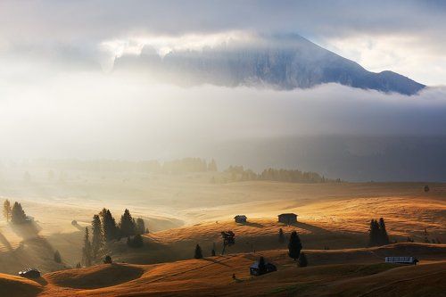 Morning Light