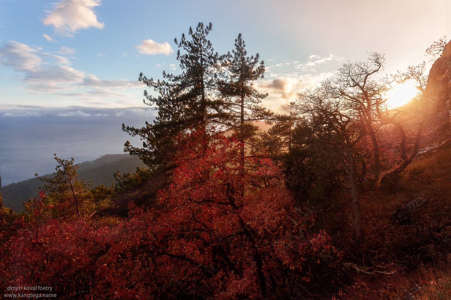 пейзажемагьё, пейзаж-как-виденье, Коваль Дмитр