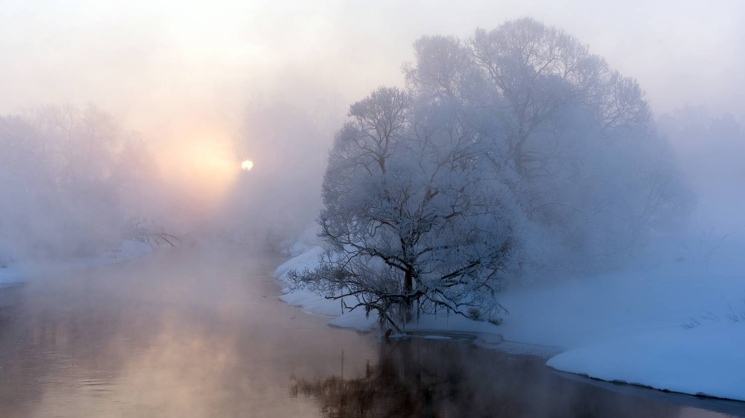 , Добродий Михаил