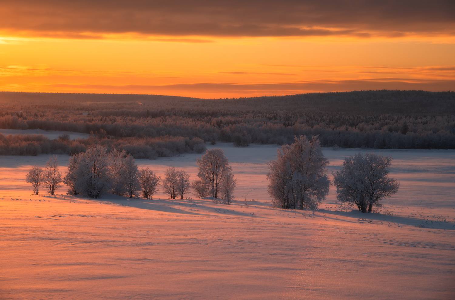 , Истомин Виталий