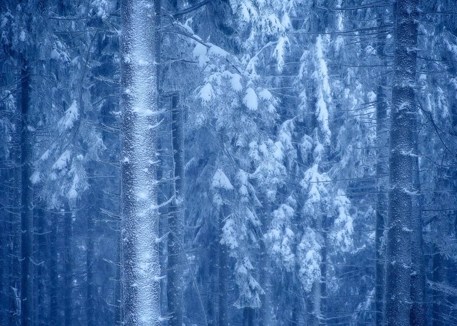 , Stefan Chirobocea