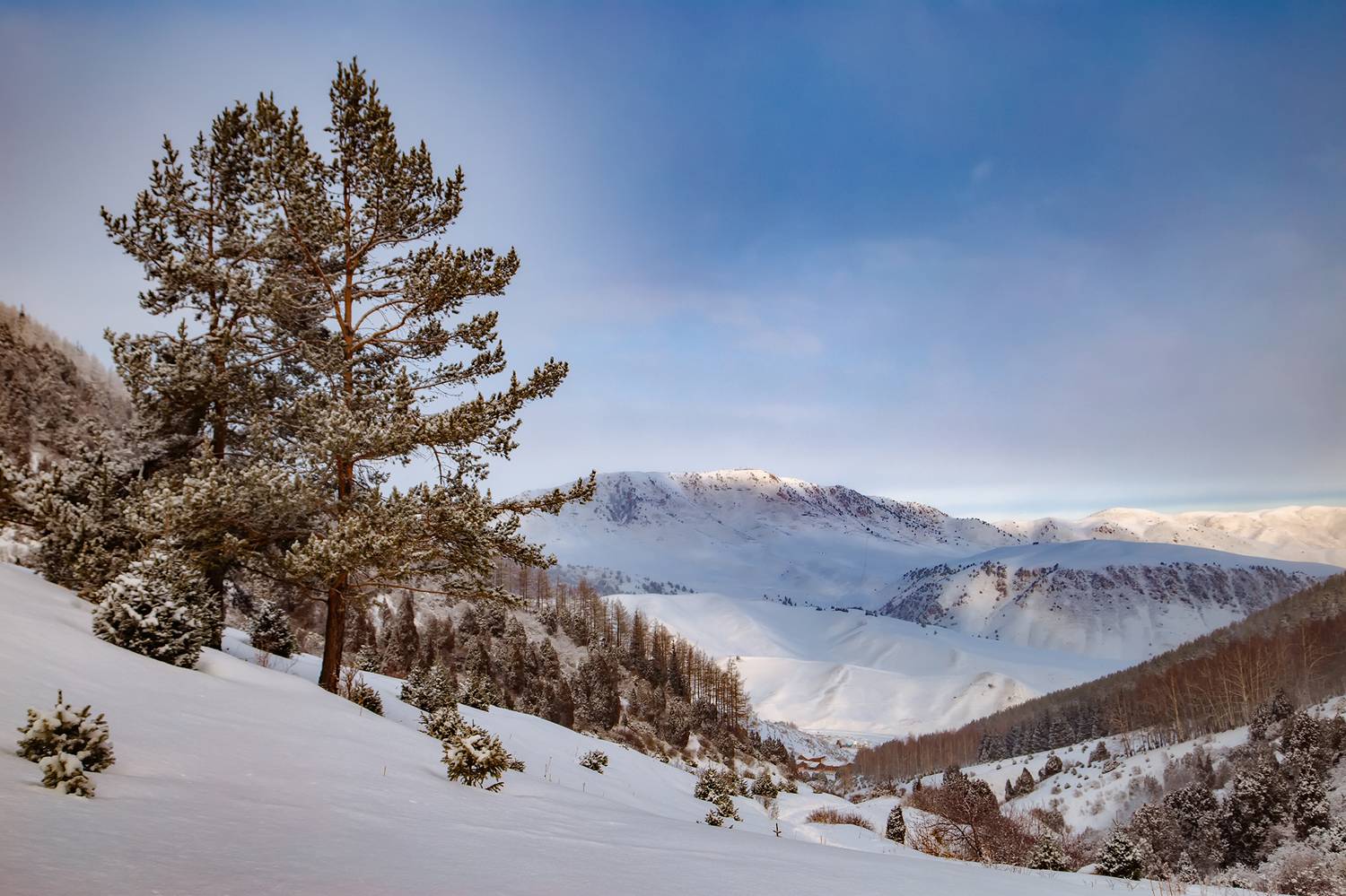 кыргызстан, урочище чункурчак, Элина Магалимова