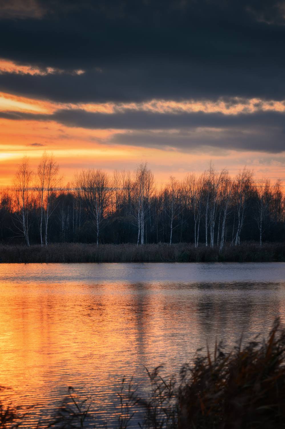 , Павел Тимошенко