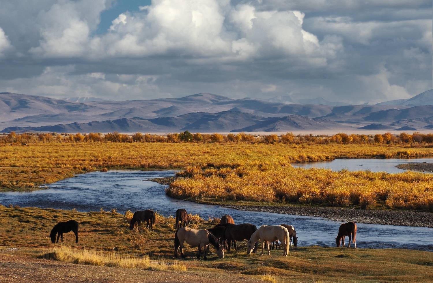алтай, республика алтай, чуйская степь, чуя, Галина Хвостенко