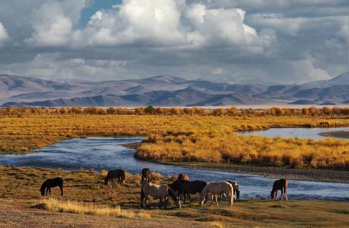 В вечернем свете