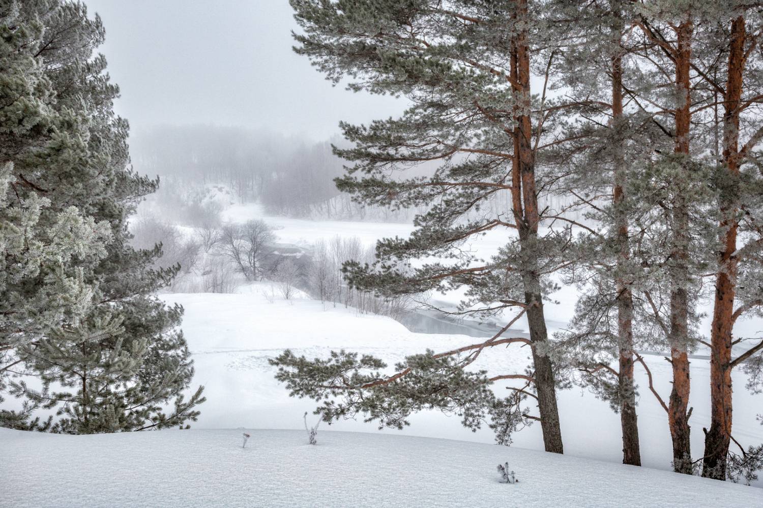 , Евгений Ерохин