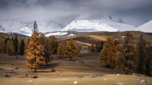 Глубокая осень