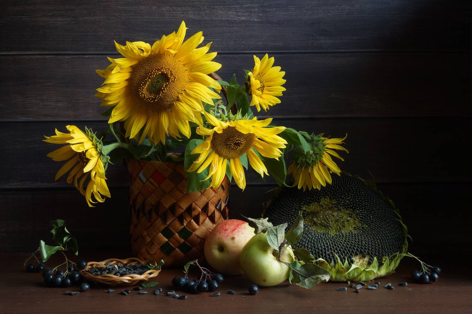 , Колеснева Елена