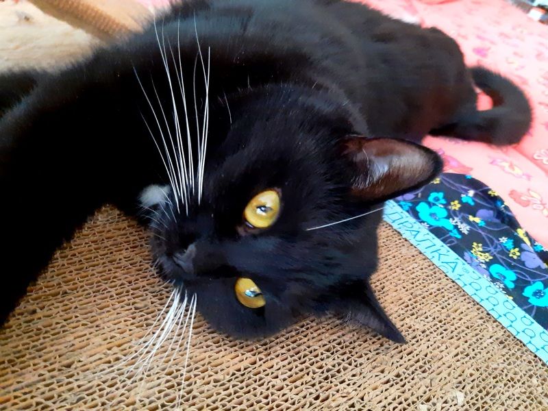 Saint Valentine\'s Day фото превью