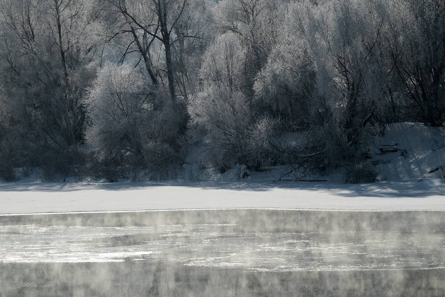 , Стрельцов Виталий
