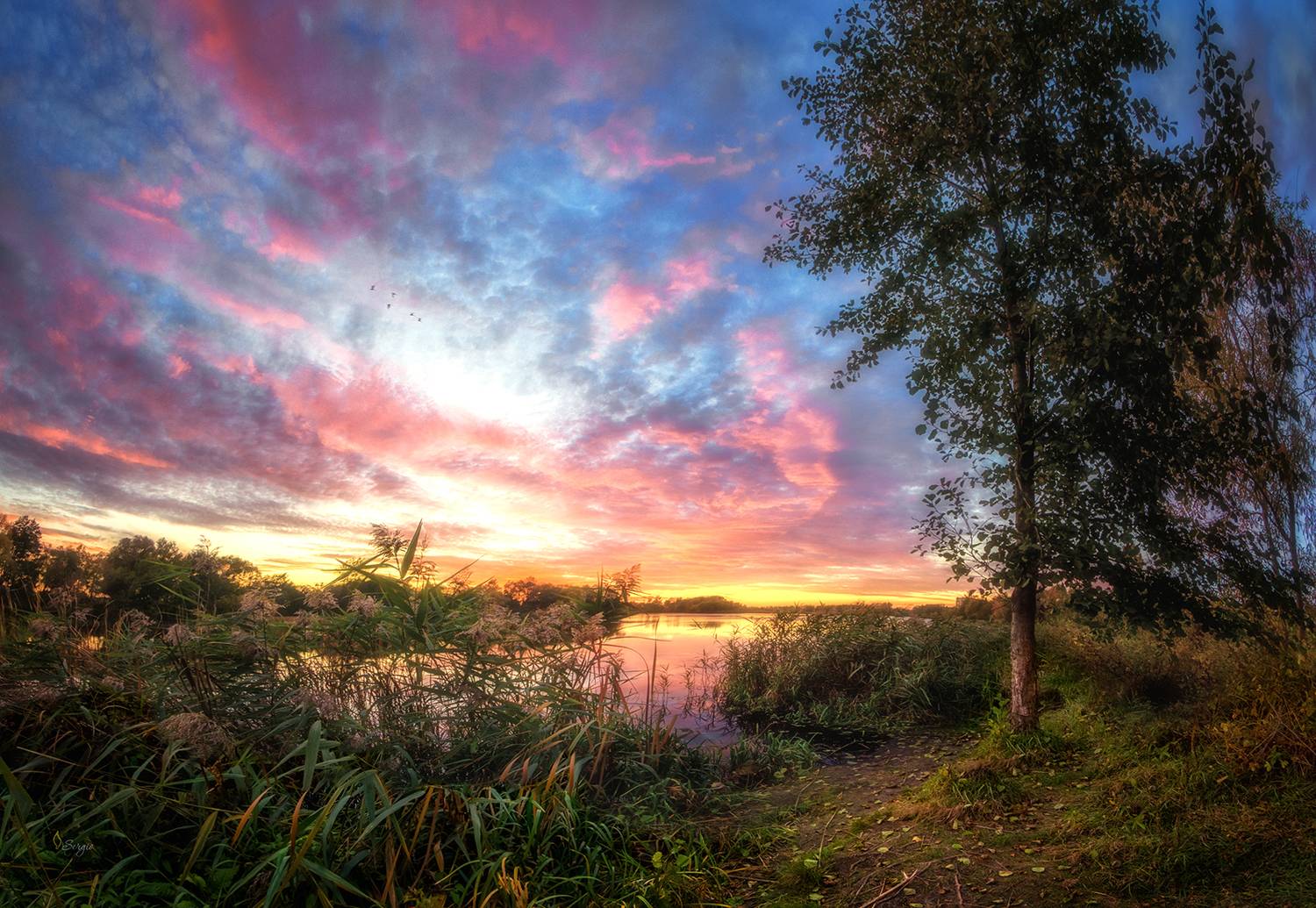 Беларусь, Серж Домбровский