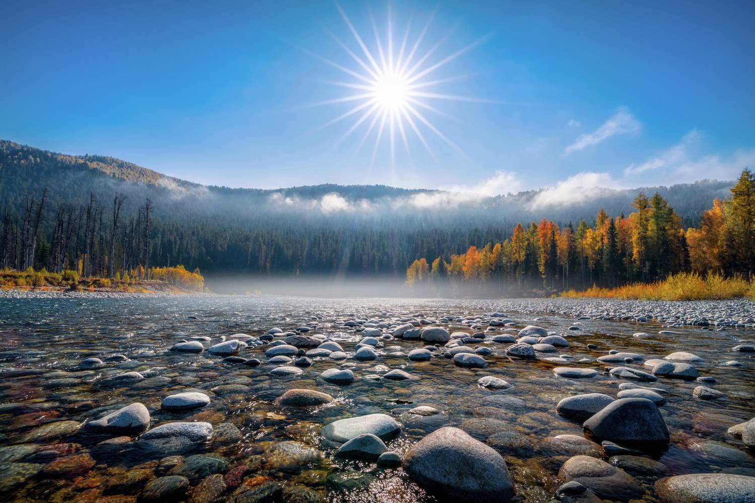 , Nikitin Alexander