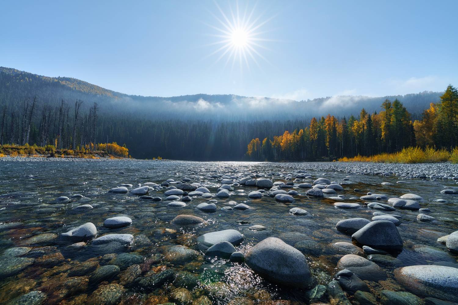 , Nikitin Alexander