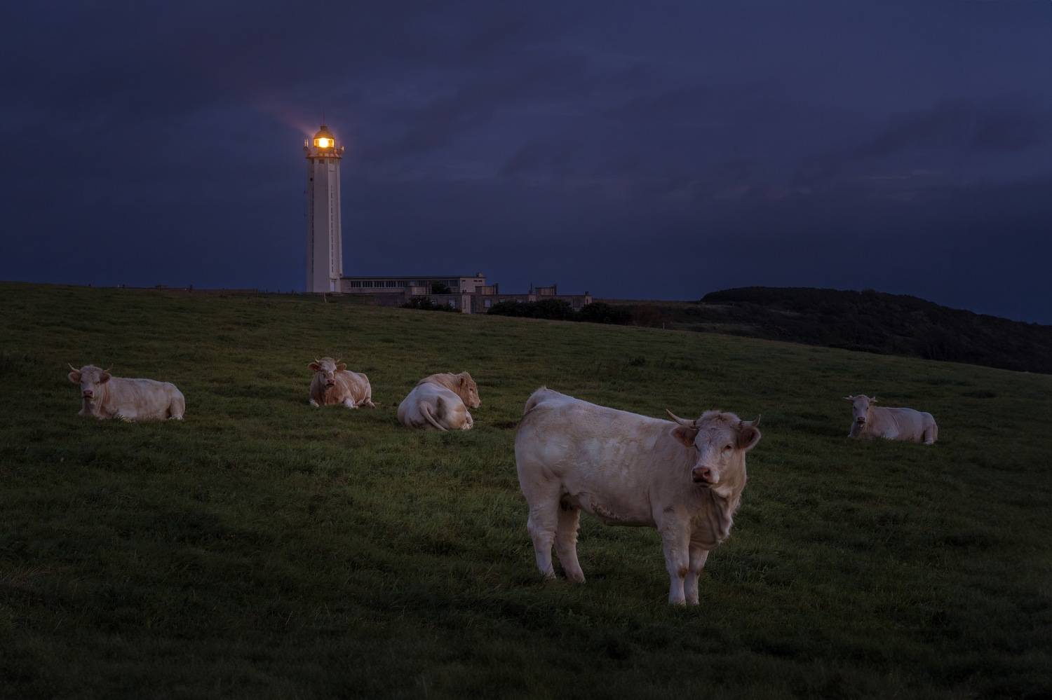 , Шимаковский Юрий