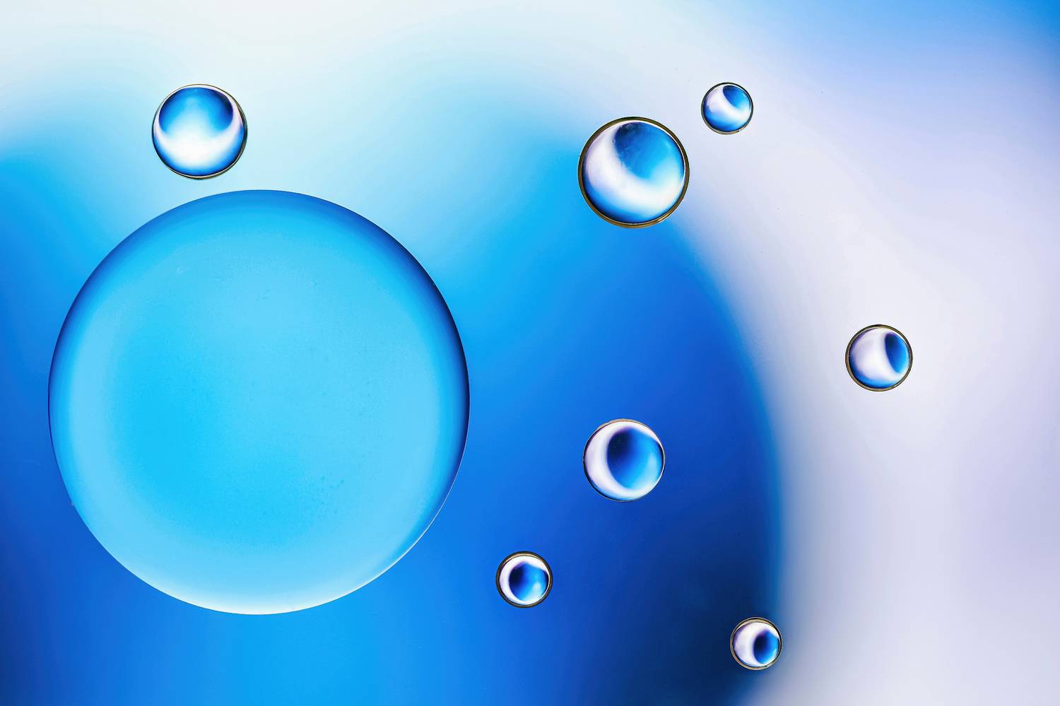 oil , water , macro, colores, Ant&oacute;nio Manuel de Pereira