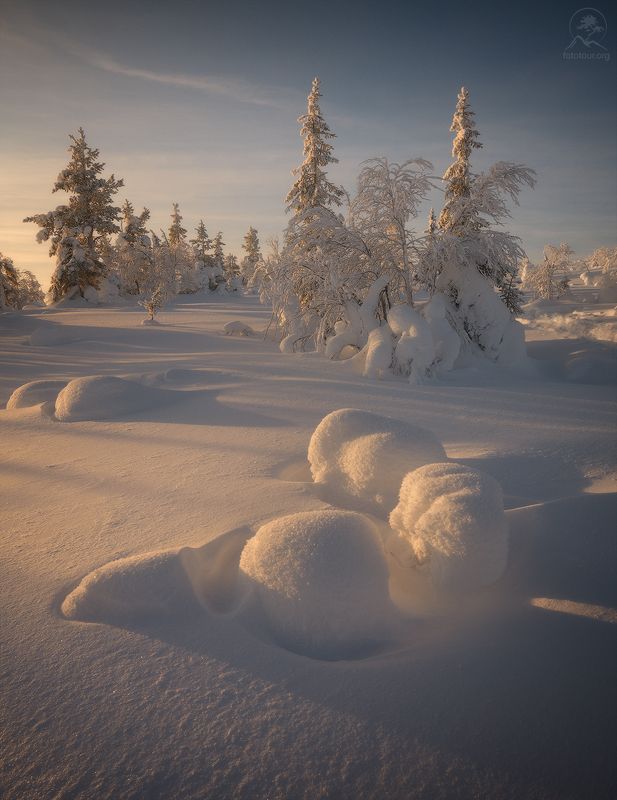 ПОЛЯРНЫЙ ДЕСЕРТ фото превью