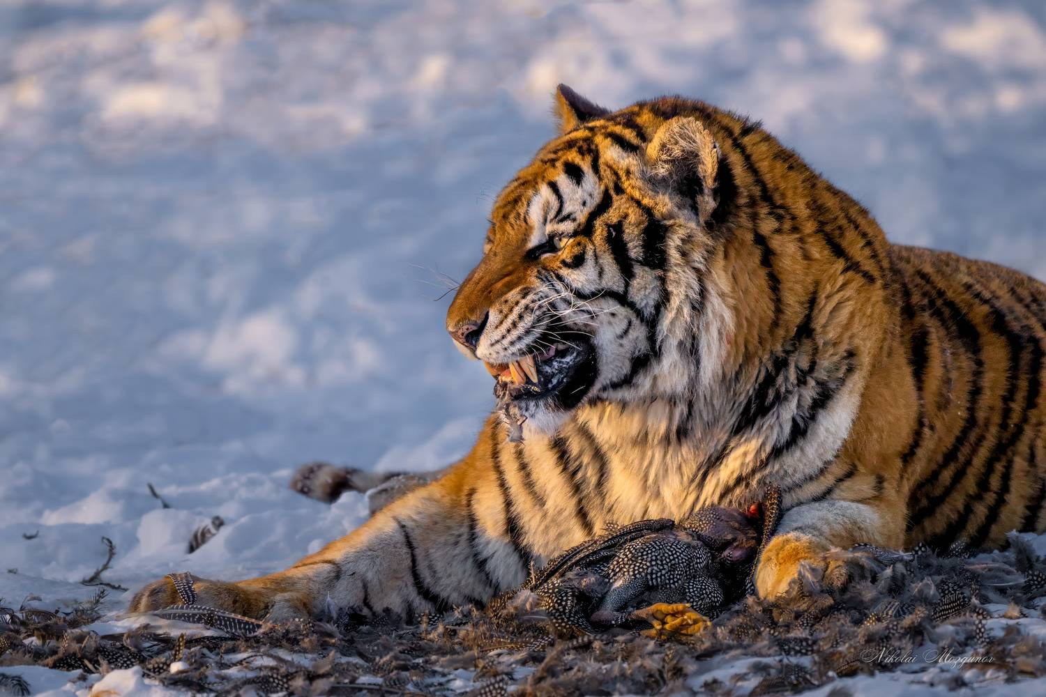 , Николай Мозгунов