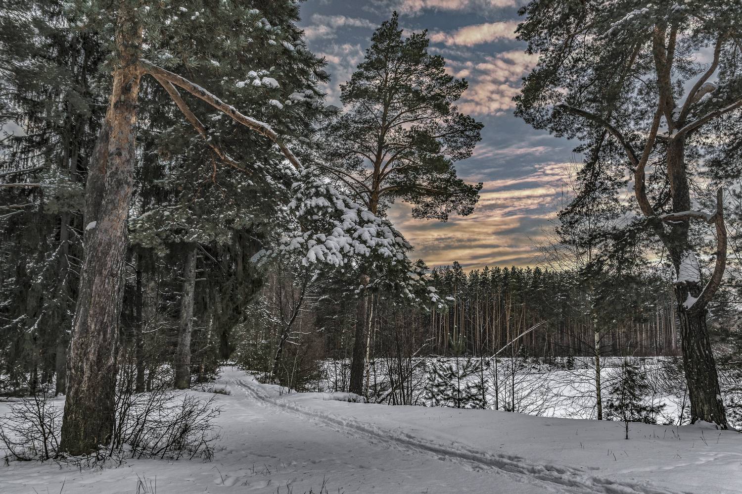 , Шитов Александр