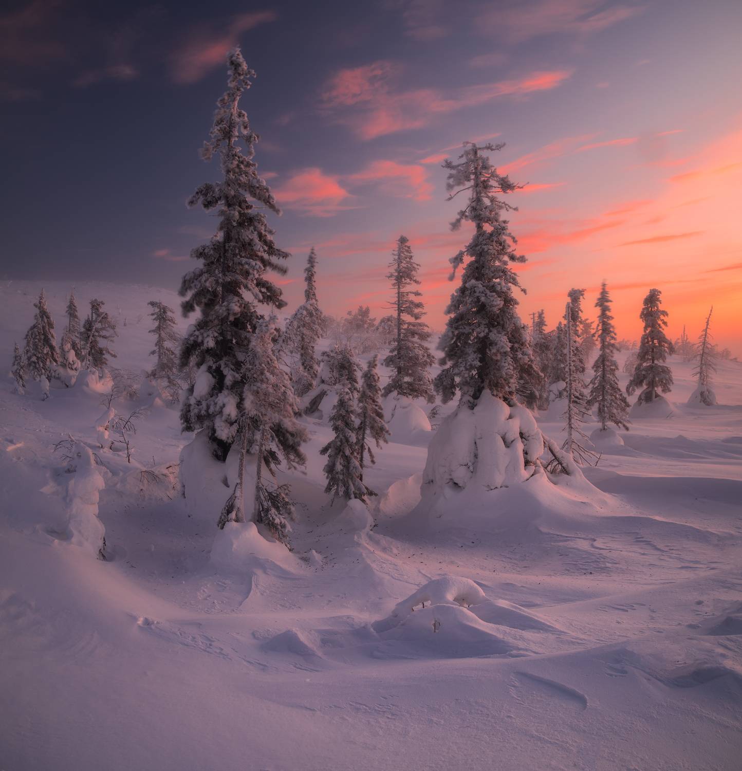 , Истомин Виталий