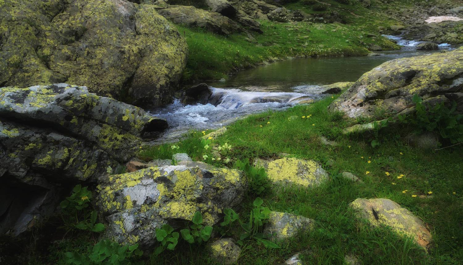 , Лысенко Сергей