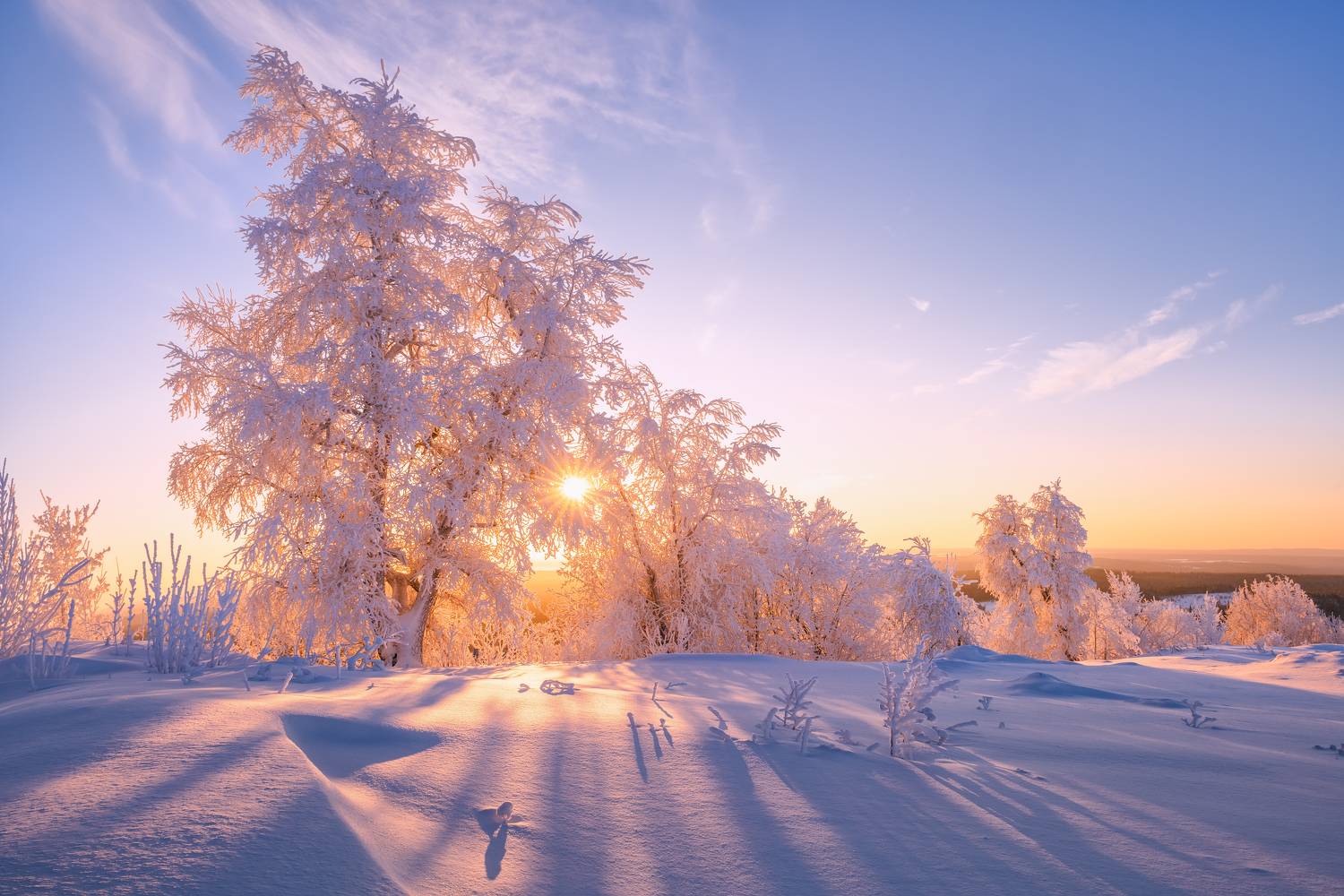 , Максим Евдокимов