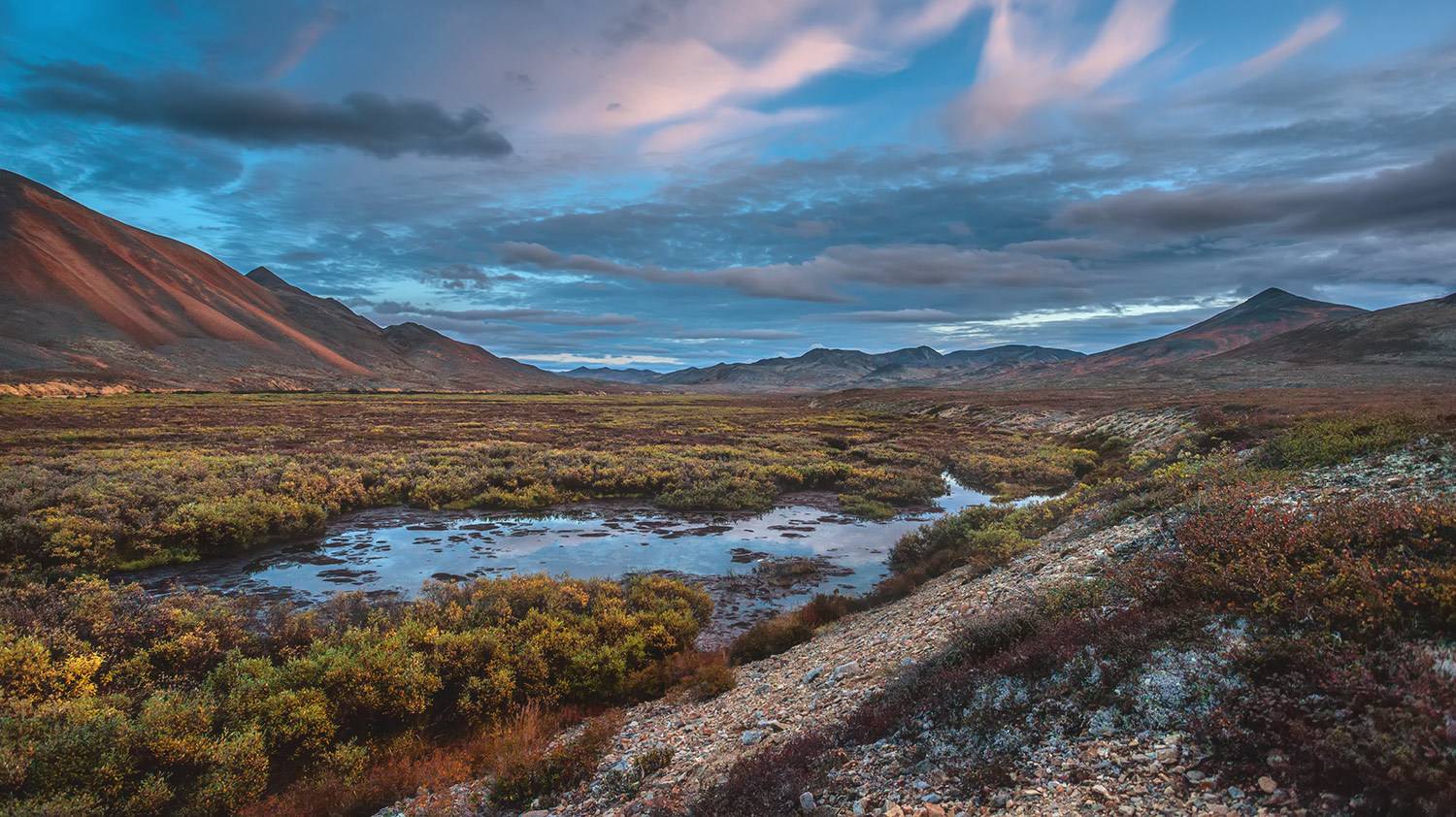 , Андреев Николай