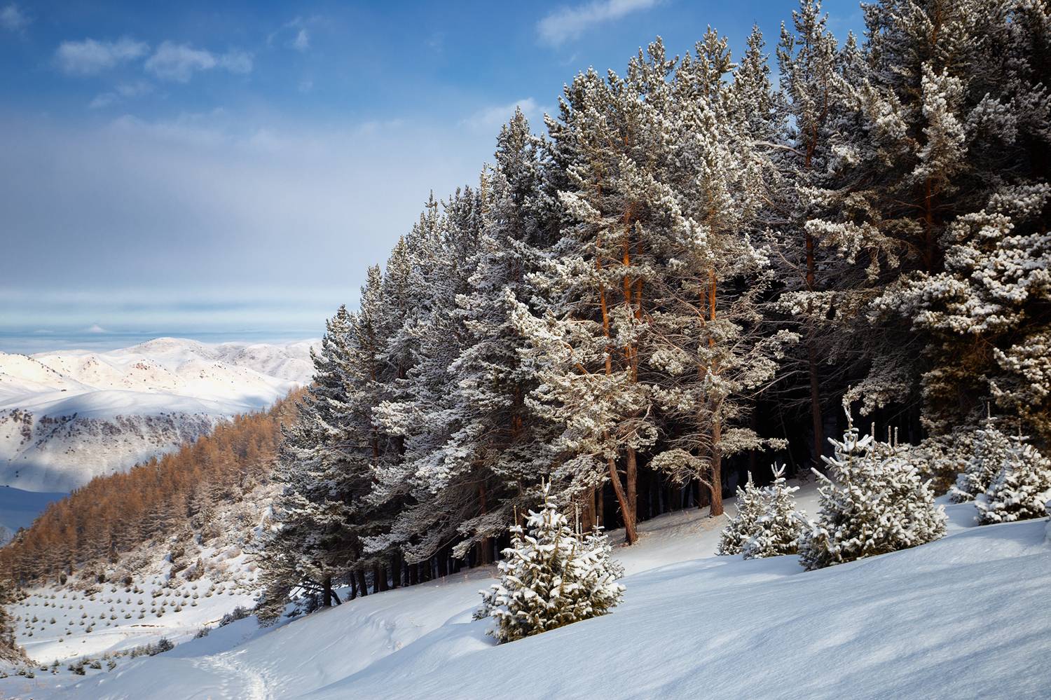 кыргызстан, урочище чункурчак, Элина Магалимова