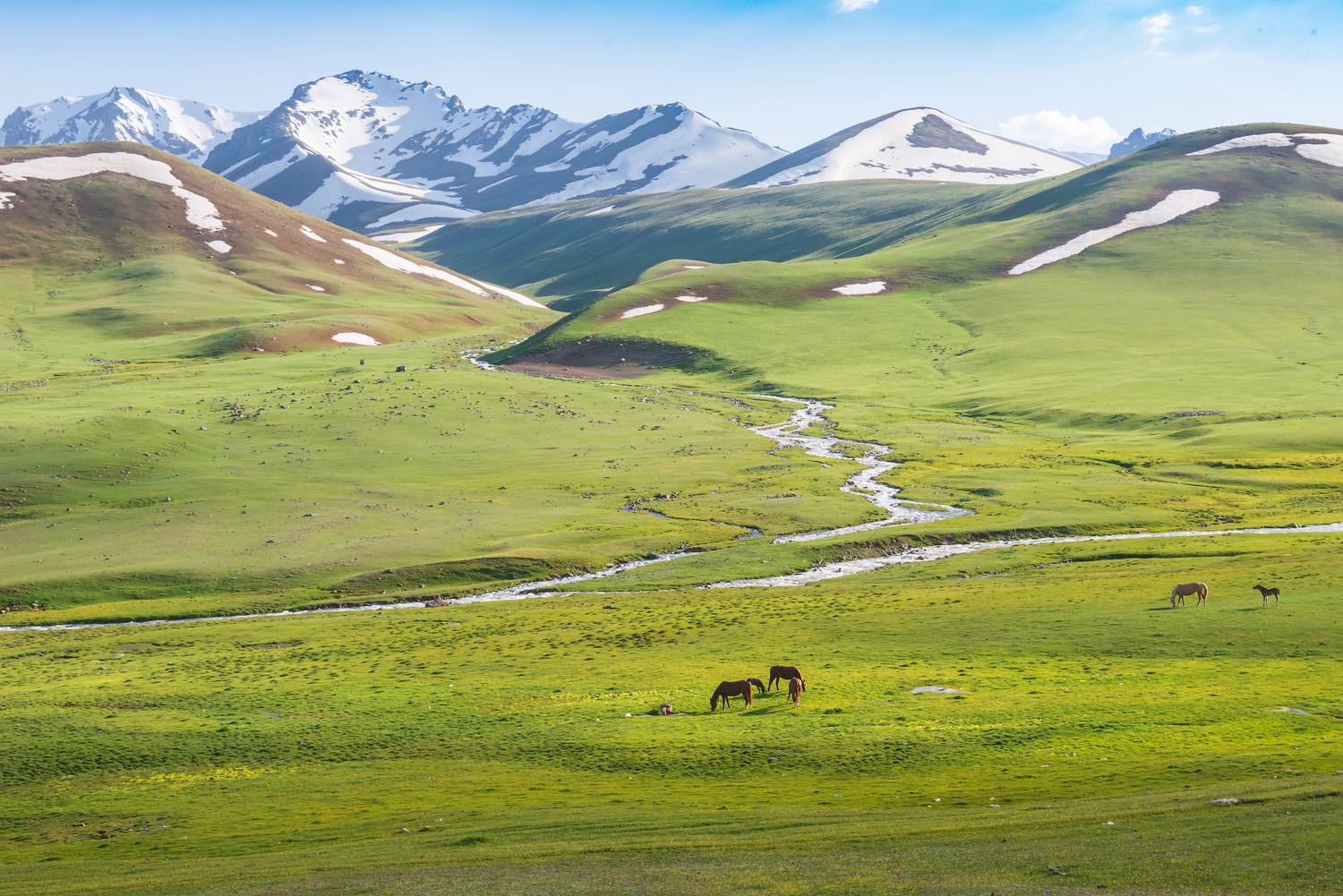 памир, памиралай, фанские, фанскиегоры, куликалон, алаудин, таджикистан, памирскийтракт, памирский, , фототур, фототурпамир, фототурнапамир, фототурфанскиефототуртаджикистан, Кутыгин Эдуард