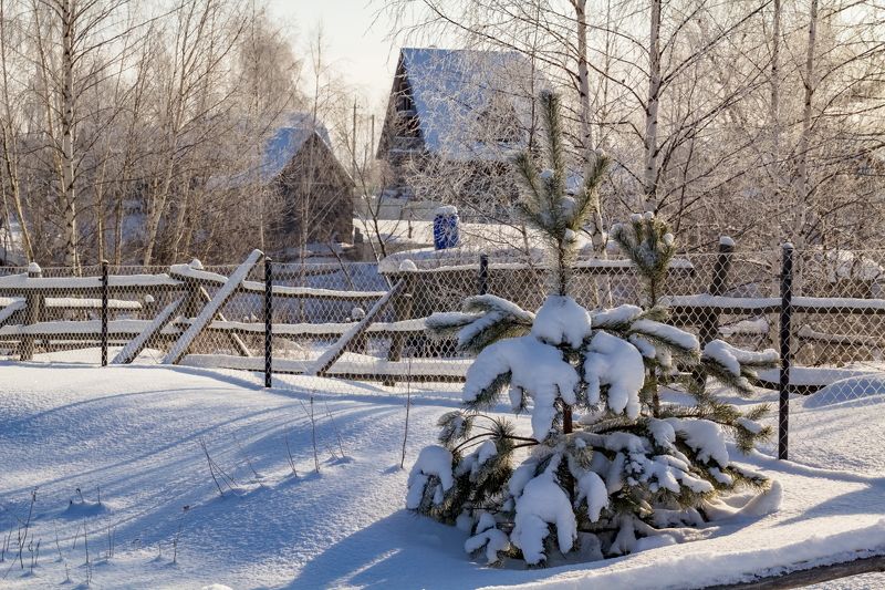 Зима за изгородкой  фото превью