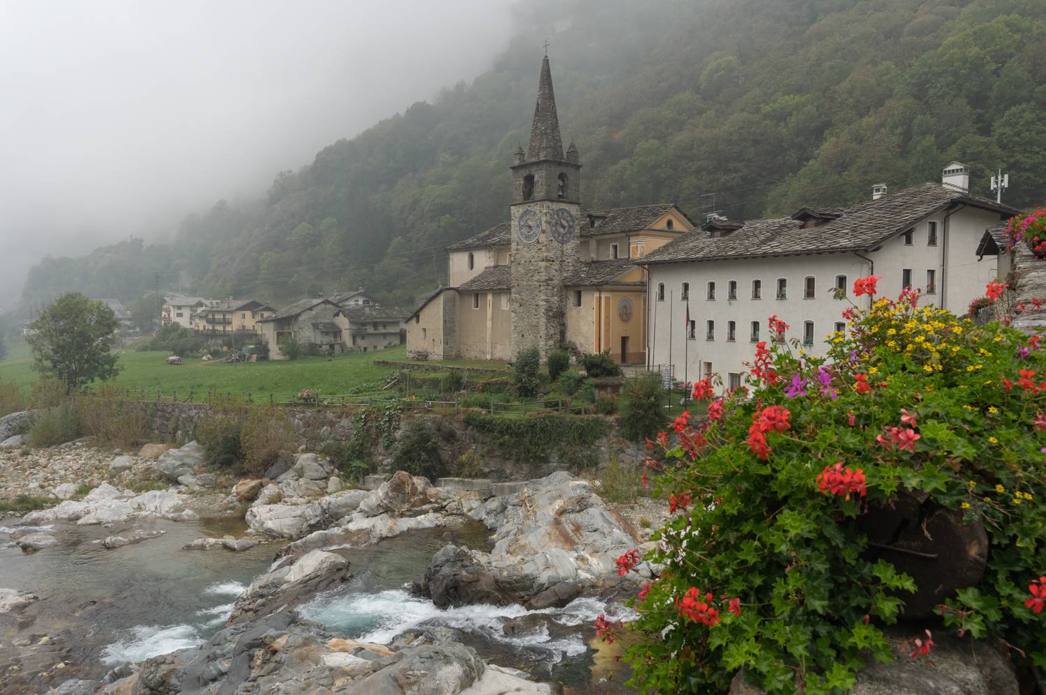 , Дария Максимова