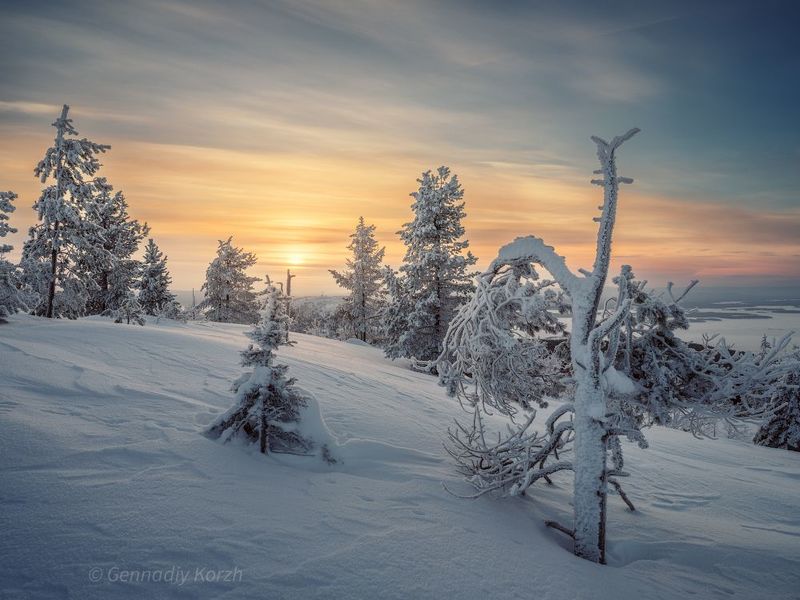 фото превью