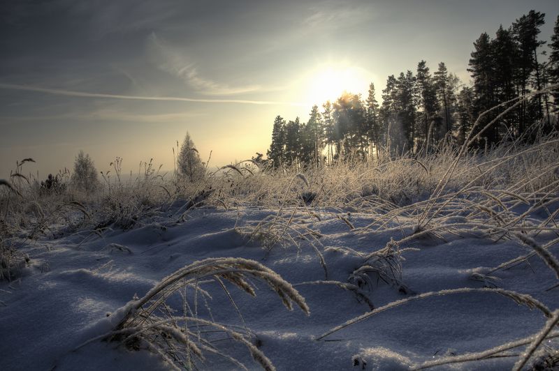 Снежное безмолвие фото превью