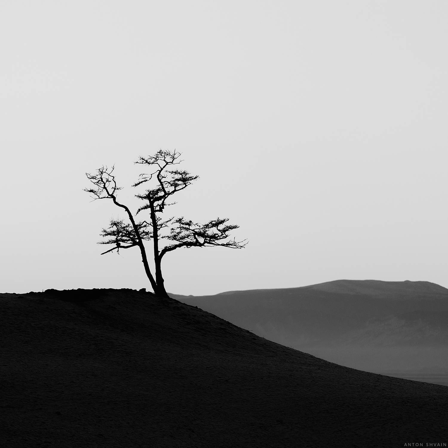 , Антон Шваин