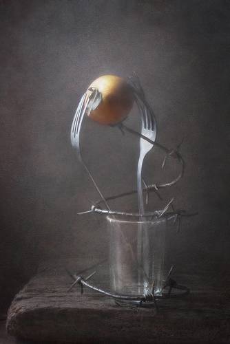 Запретный плод