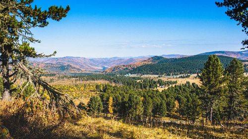 Прекрасное далёко 