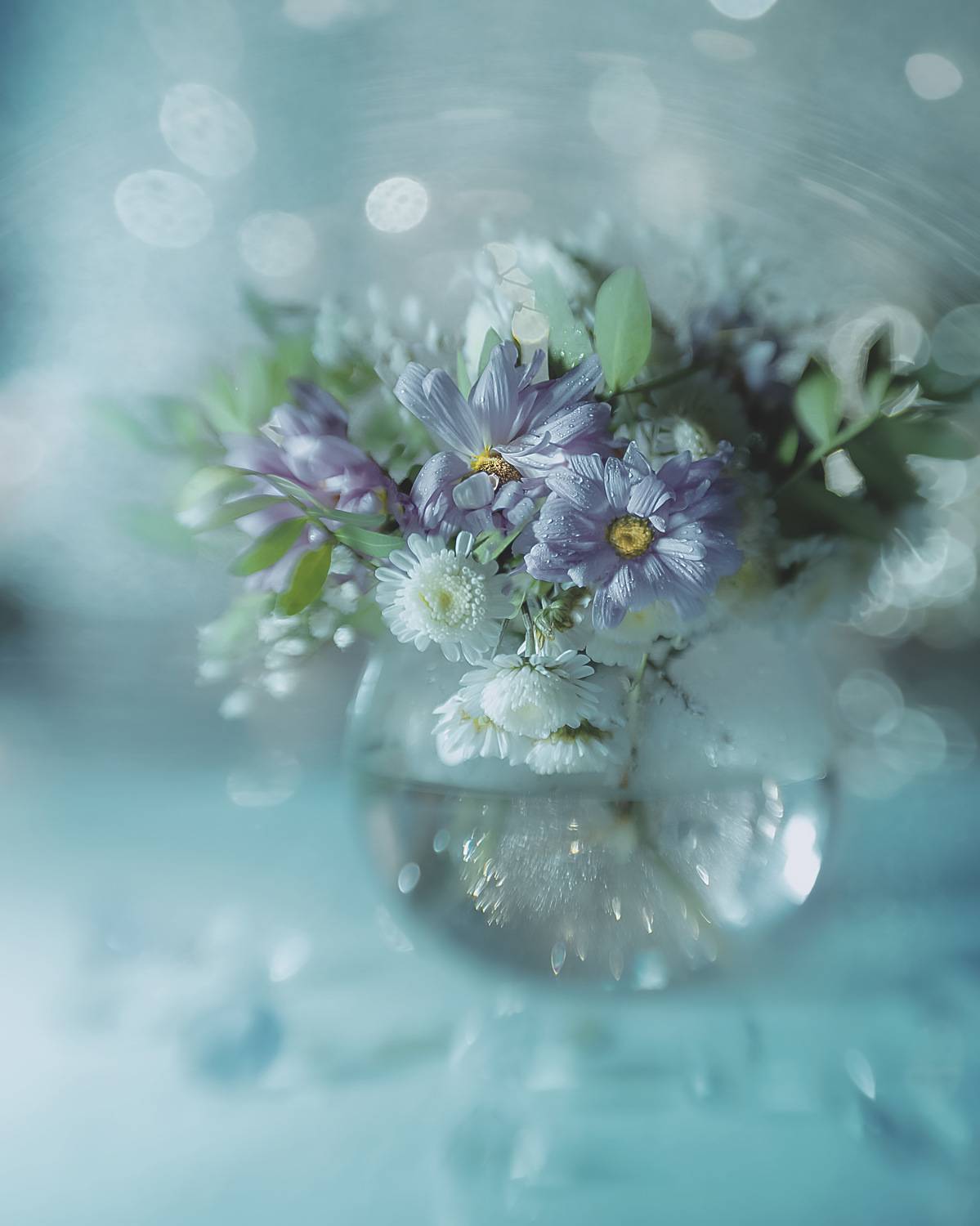 , Виктория Шаманова