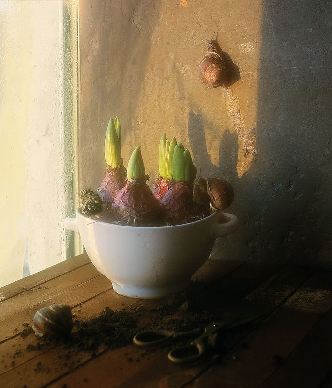 фото превью