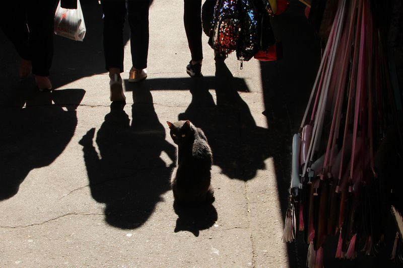 стрит  фото превью