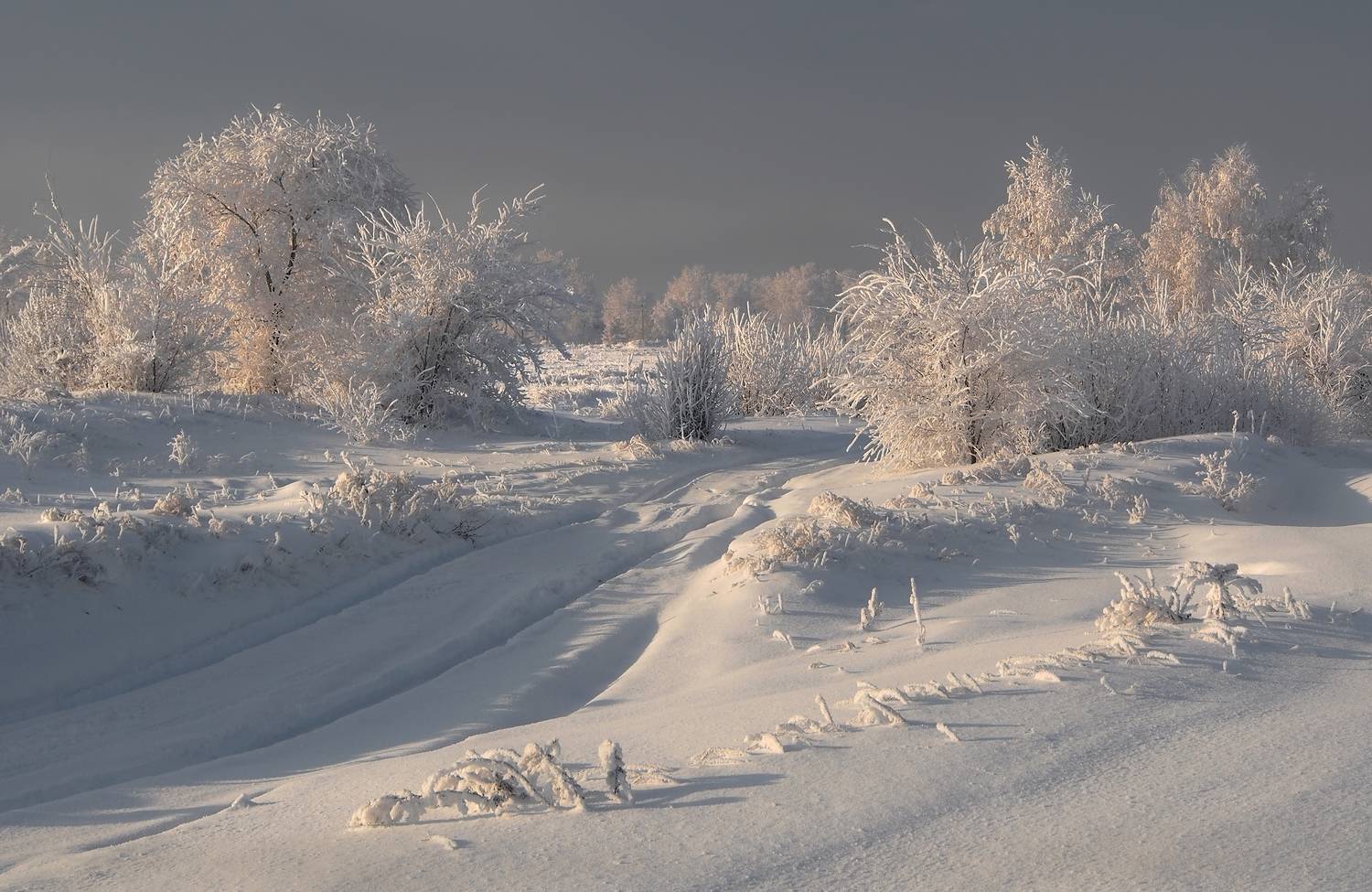 , Александр Попов