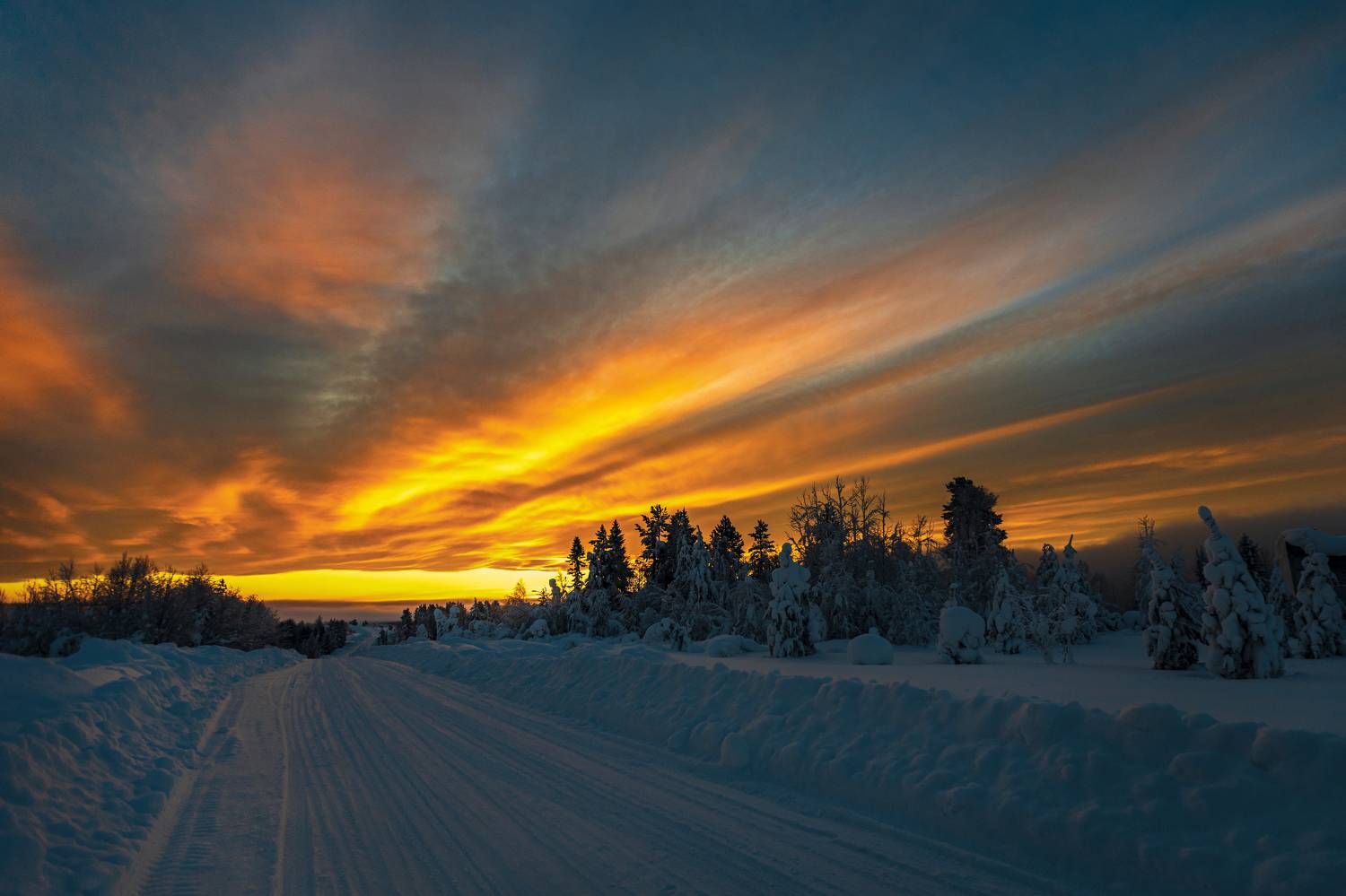 печора, Толяныч