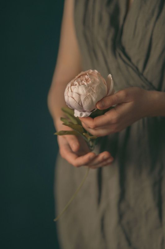 Пионовые грёзы фото превью