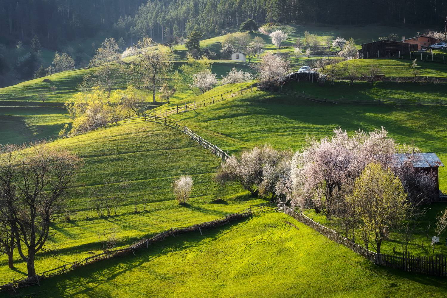 , Mariyana Atanasova - Lucero