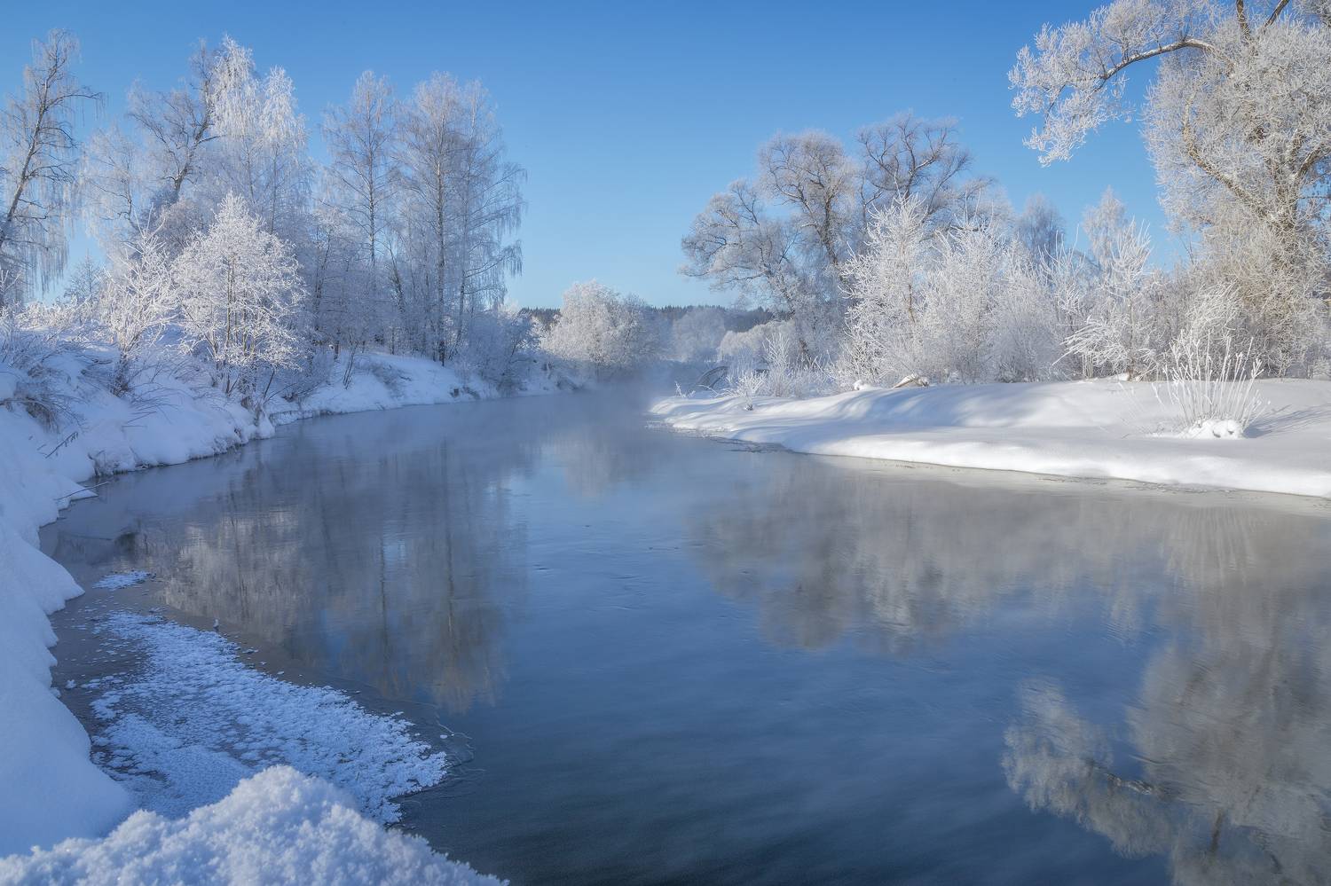 истра, Елена Гусева