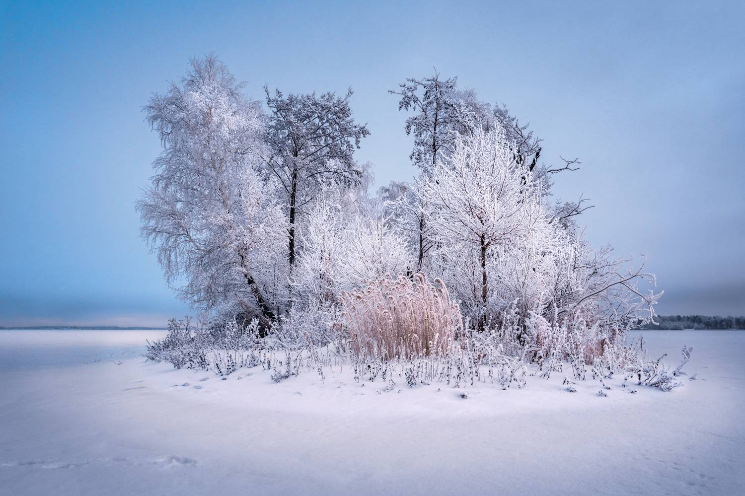 север челябинской области, озеро синара, остров средний, зима, иней, Кетова Вера