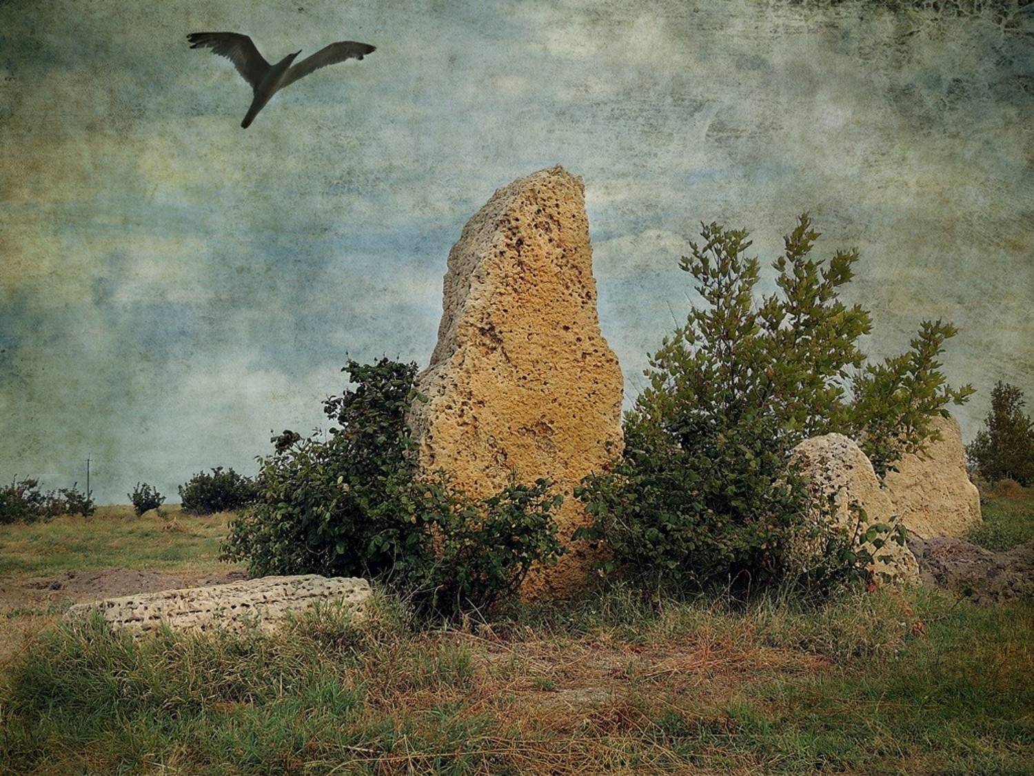 , Савоцкий Роман