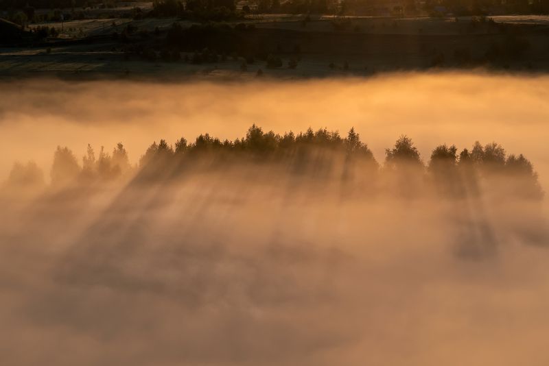 Солнечное утро фото превью