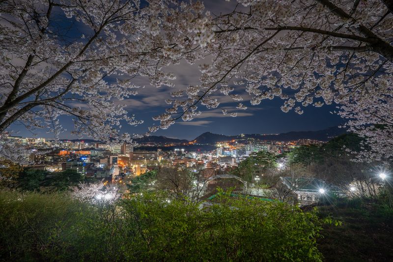 Spring Seoul фото превью