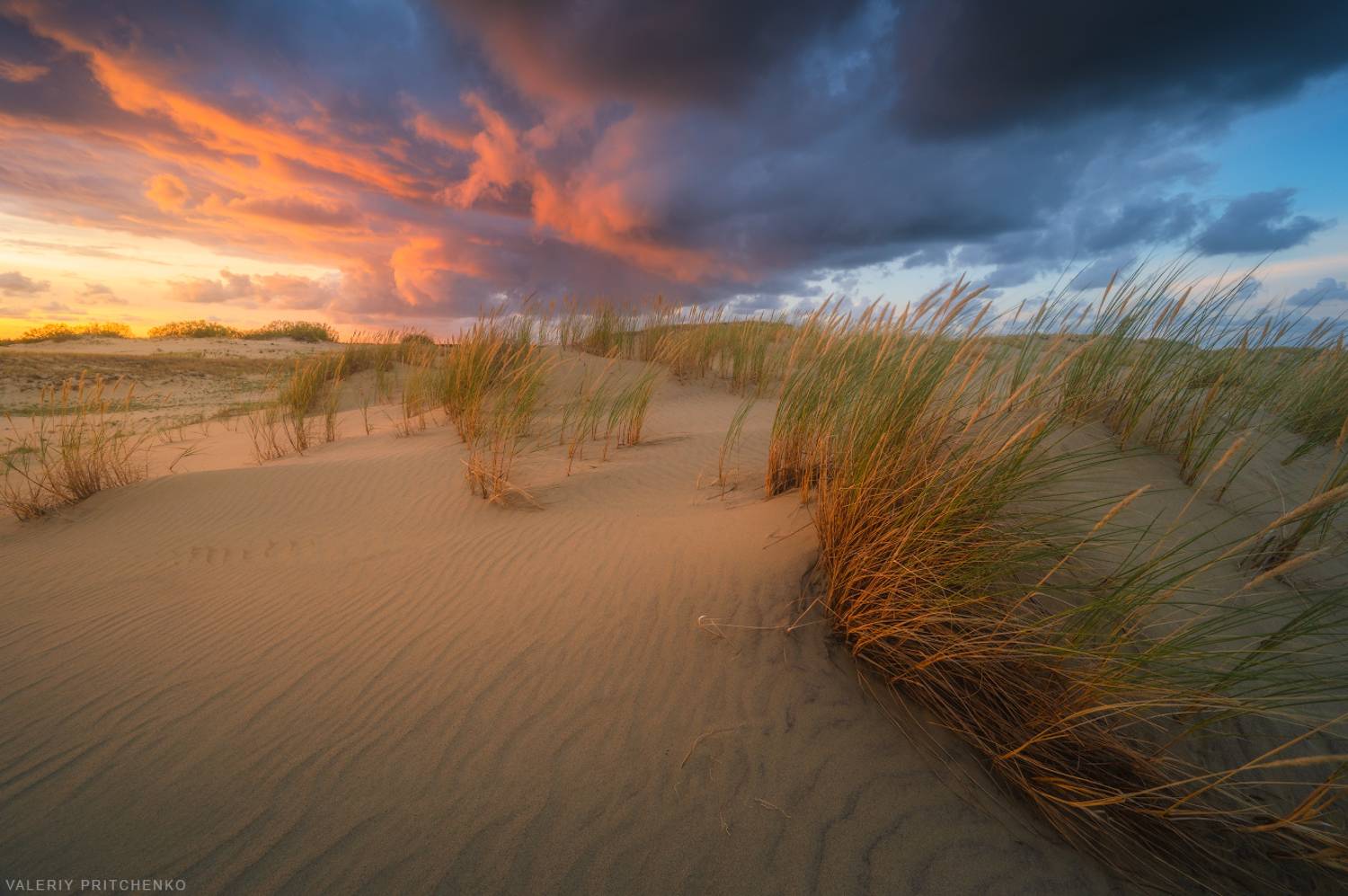 куршская коса, природа, пейзаж, вечер, закат, дюны, landscape, nature, sunset, Валерий Притченко